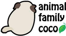 小動物専門店 | ペットホテル | animal family coco